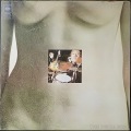Pink Floyd ピンク・フロイド / Delicate Sound Of Thunder | US盤