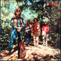 Don Crawford ドン・クロフォード / Roots & Branches